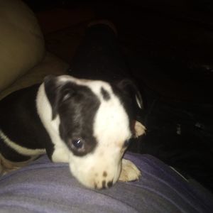 Meet your Posher, Jayhenry